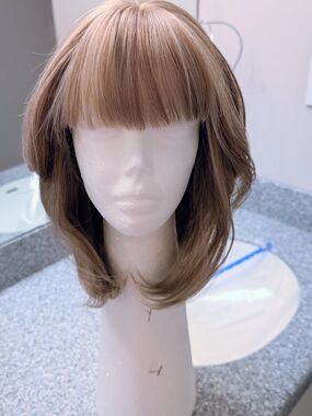 DWY Wigs - Light Brown, Dark Blonde-ish Bob, Short Layered Wig. Bangs. Reg $60
